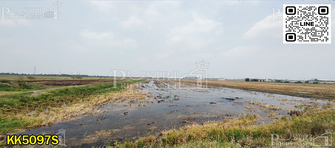 ที่สีม่วง ไทรน้อย นนทบุรี เกือบ 19 ไร่ ใช้เทรลเลอร์ได้สะดวก ครบครันไฟฟ้า 3 เฟส ท่อระบายน้ำ ในราคาสุดคุ้ม  kk5097s