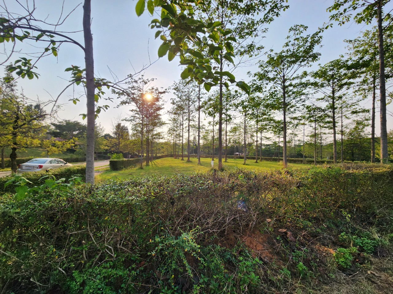 ที่ดินทอสคาน่า โซนเอ็กซ์คลูซีฟ x1 | ติดริมเขา | แปลงมุมโค้งสวย 1-0-7 ไร่. | 19.5 ล้าน