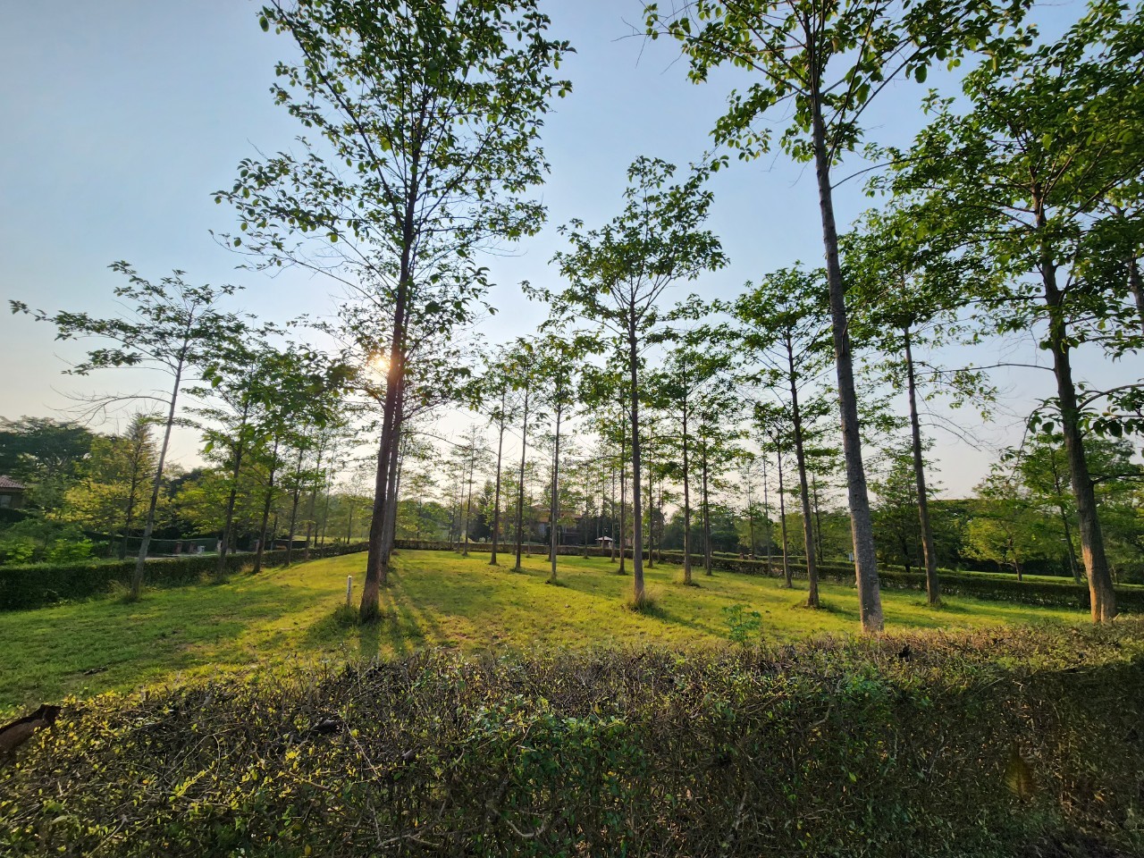 ที่ดินทอสคาน่า โซนเอ็กซ์คลูซีฟ x1 | ติดริมเขา | แปลงมุมโค้งสวย 1-0-7 ไร่. | 19.5 ล้าน