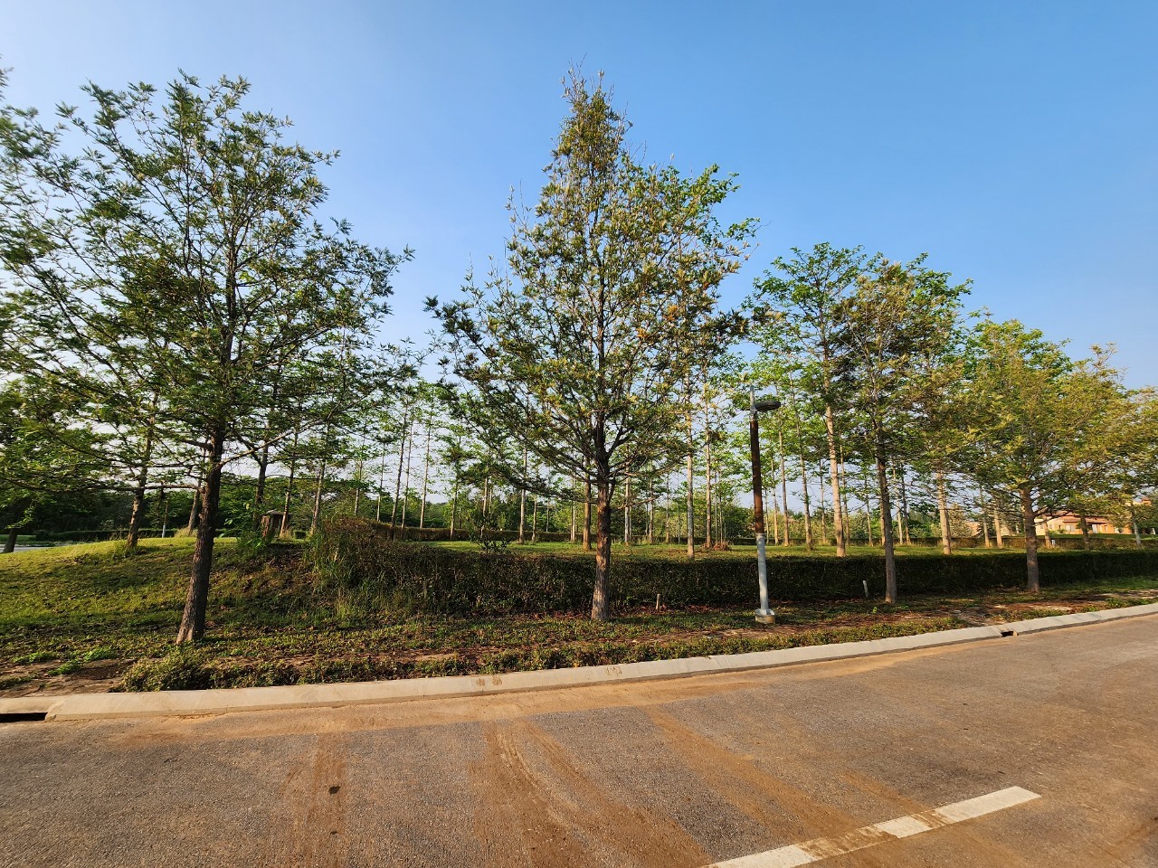 ที่ดินทอสคาน่า โซนเอ็กซ์คลูซีฟ x1 | ติดริมเขา | แปลงมุมโค้งสวย 1-0-7 ไร่. | 19.5 ล้าน