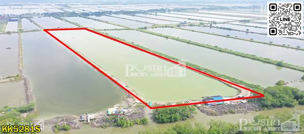 ขายที่ สร้างโรงงาน 20.75ไร่ ขอใบ รง.4 ได้ ใกล้กรุงเทพ หน้ากว้าง+เทรลเลอร์ลุยสบาย ใกล้ บางขุนเทียน - KK 5281S