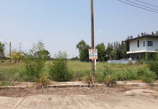 ขายที่ดินในสนามกอล์ฟ วินด์เซอร์ ซอยสุวินทวงศ์ 15 เนื้อที่ 259 ตารางวา ถนนเชื่อมกับแนวรถไฟฟ้า เหมาะสร้างบ้านพักอาศัย 