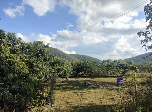 แบ่งขายที่ดินพร้อมสิ่งปลูกสร้างในพื้นที่ มีสวนลำไยและต้นสัก วิวดอย ทำเลดี   เจ้าของขายเอง ศรีบัวบาน ลำพูน