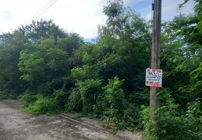 ขายที่ดิน คลอง 9 หมู่บ้านบ้านสวนเก้าพัฒนา เนื้อที่ 328 ตร.ว. แปลงมุม ถมแล้ว