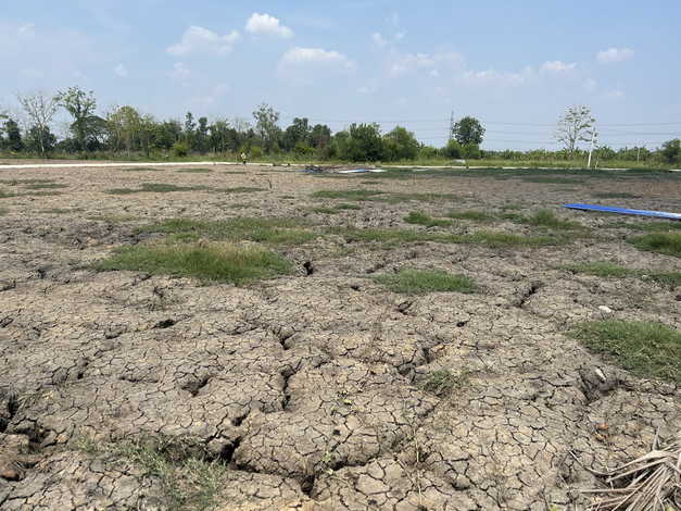 ขายที่ดินถมแล้ว ทำเลดี  ตำบลคลองสิบสอง อำเภอหนองจอก จังหวัด  กรุงเทพมหานคร (เจ้าของขายเอง)