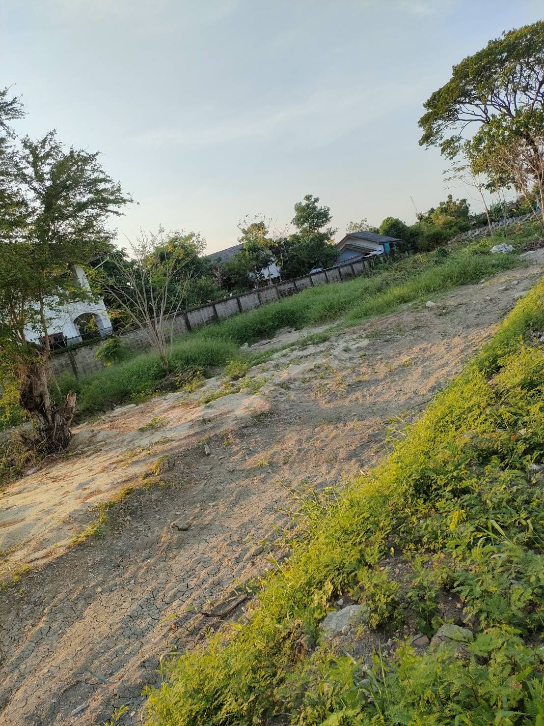 ให้เช่าที่ดินเปล่า 2 ไร่ เข้าซอยอ่อนนุช 51 เพียง 200 เมตร เทเลดี ติดคลองพระโขนง 