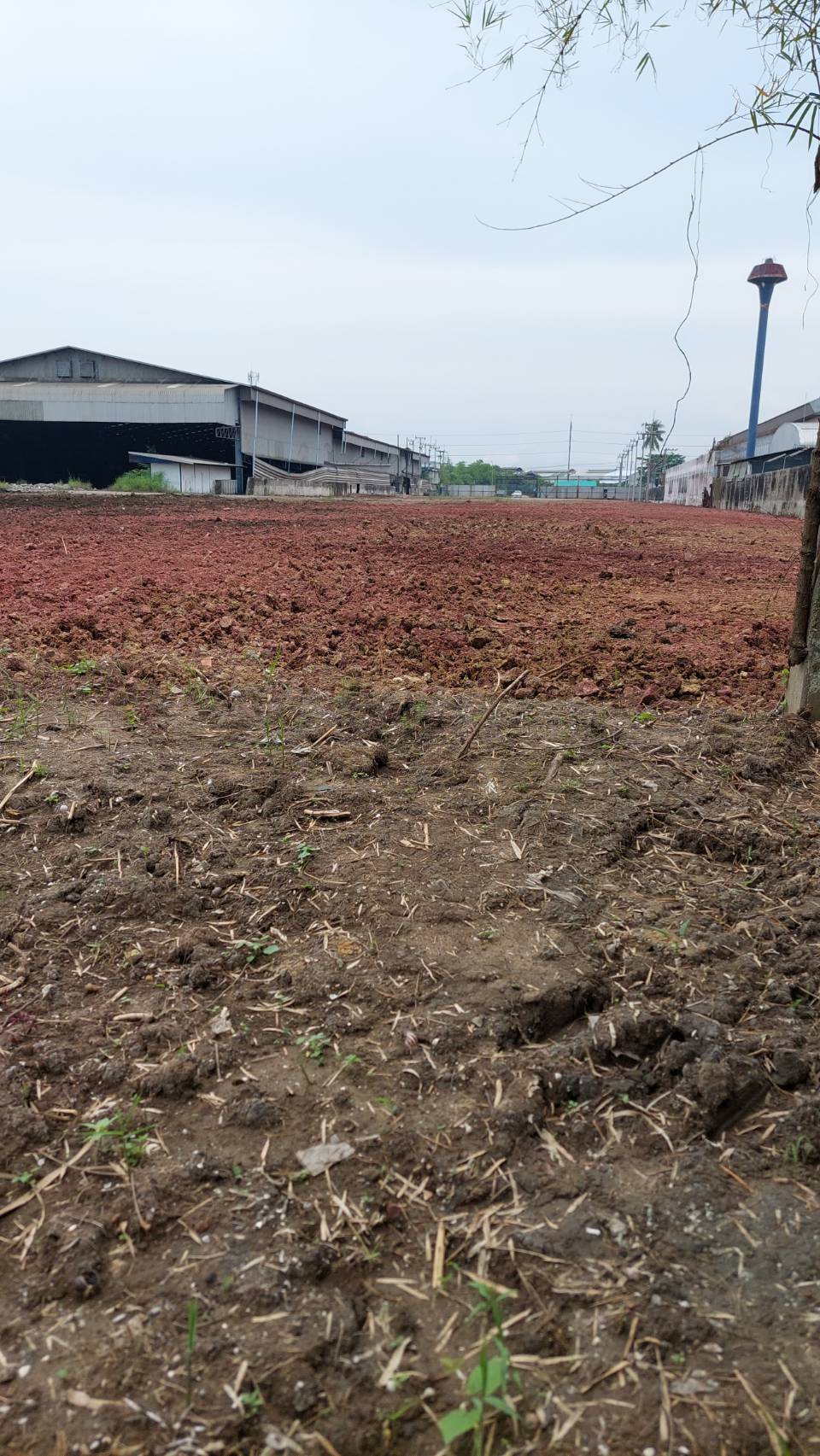 ที่ดินติดถนนสวนหลวงกระทุ่มแบน เศรษฐกิจ1-พุทธสาคร เหมาะสร้างโรงงาน, โกดัง