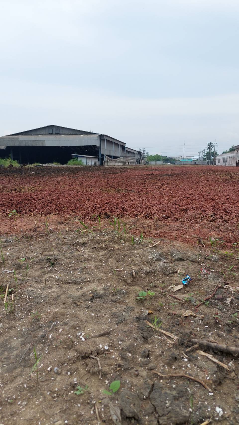 ที่ดินติดถนนสวนหลวงกระทุ่มแบน เศรษฐกิจ1-พุทธสาคร เหมาะสร้างโรงงาน, โกดัง