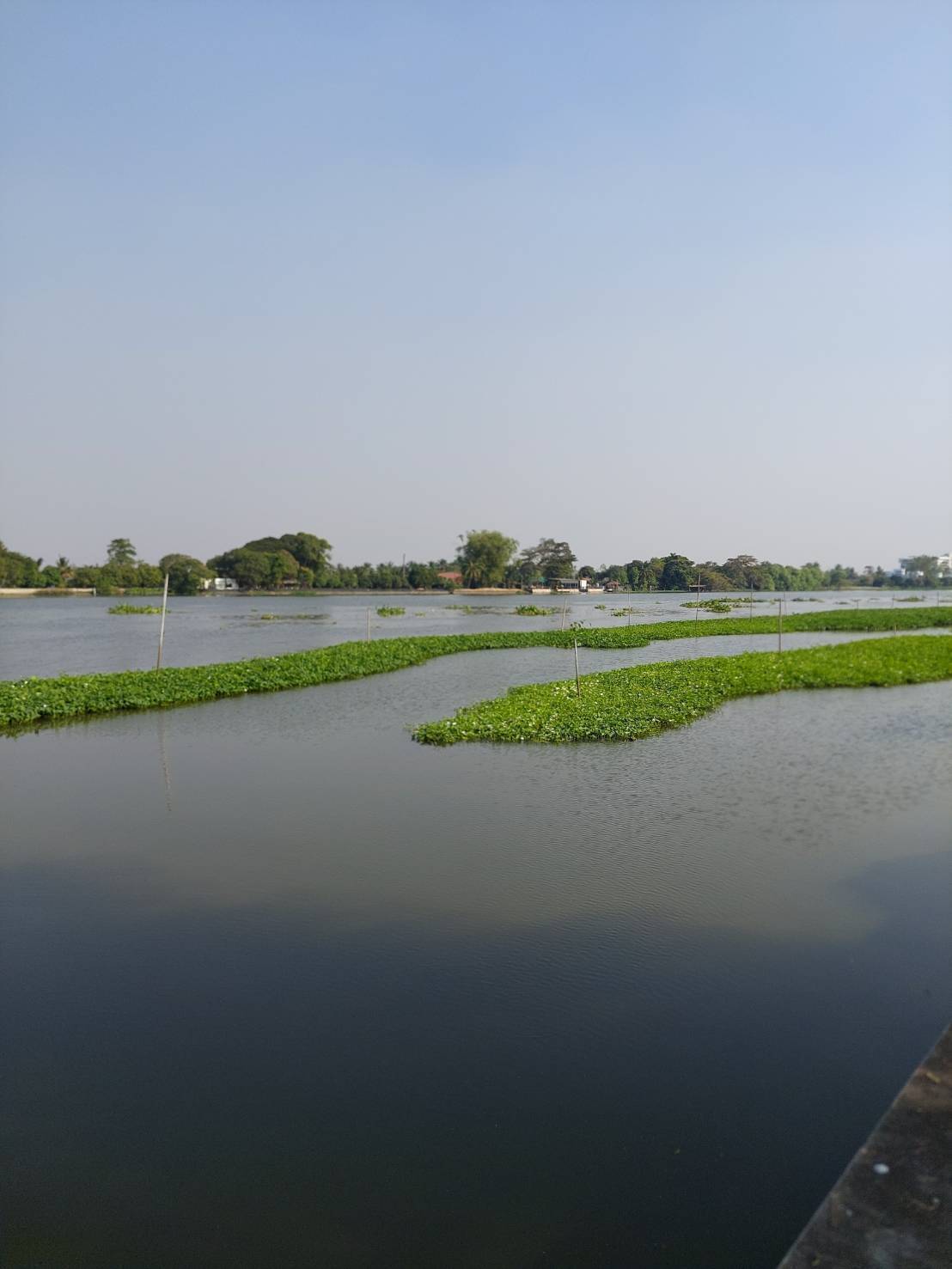 ที่ดินติดแม่น้ำท่าจีนเนื้อที่19ไร่ ใกล้รพ.กระทุ่มแบน