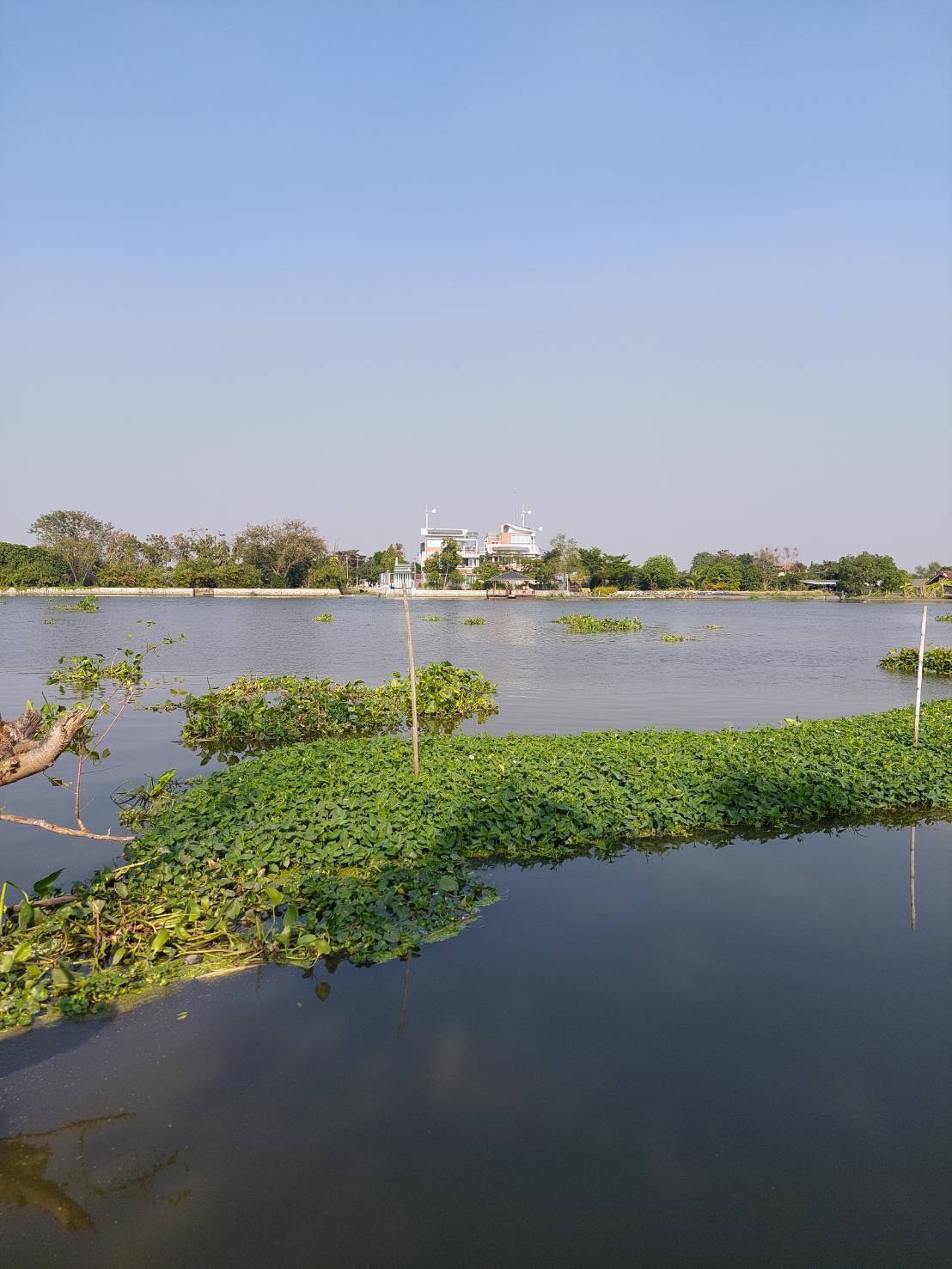 ที่ดินติดแม่น้ำท่าจีนเนื้อที่19ไร่ ใกล้รพ.กระทุ่มแบน