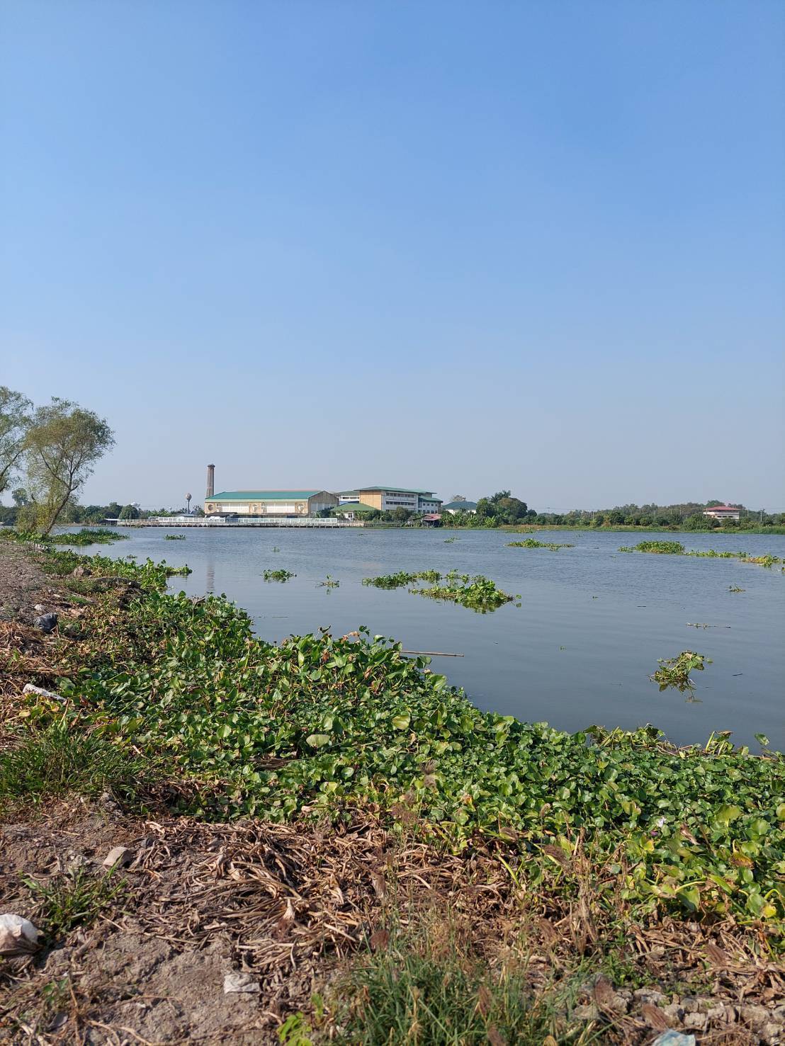 ที่ดินติดแม่น้ำท่าจีนเนื้อที่19ไร่ ใกล้รพ.กระทุ่มแบน