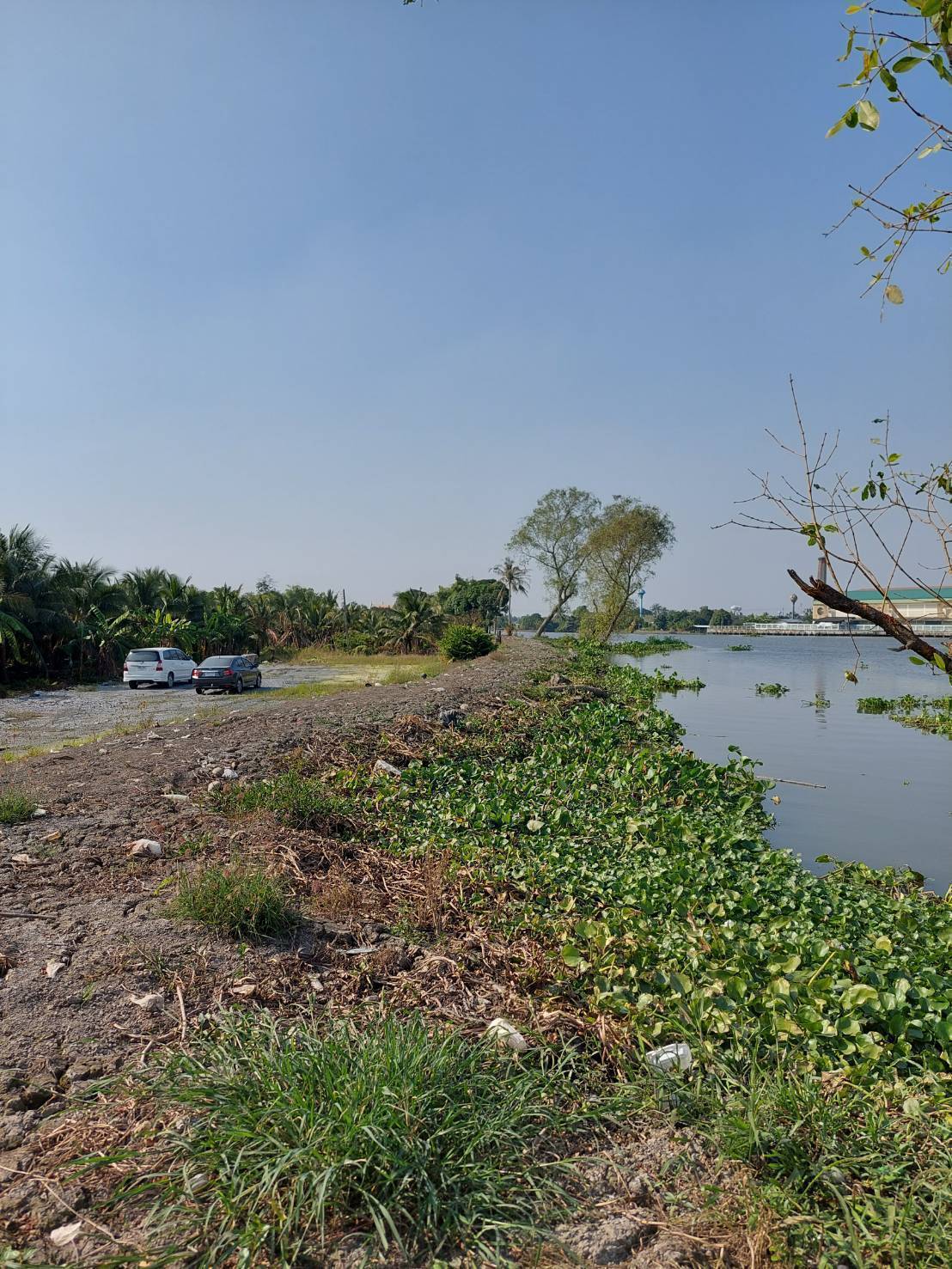 ที่ดินติดแม่น้ำท่าจีนเนื้อที่19ไร่ ใกล้รพ.กระทุ่มแบน