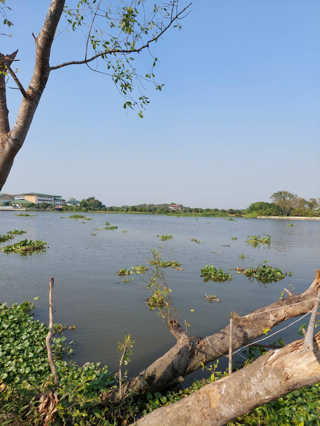 ที่ดินติดแม่น้ำท่าจีนเนื้อที่19ไร่ ใกล้รพ.กระทุ่มแบน