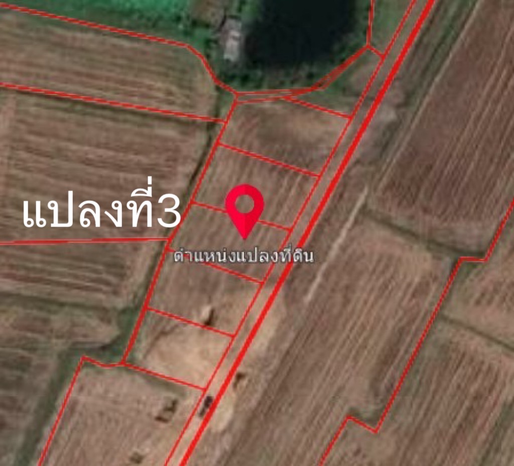 ขายที่ดินถมแล้ว ตารางวาละ5000 บาท  ติดถนนสาธารณะเกือบรอบด้าน จ.สุรินทร์