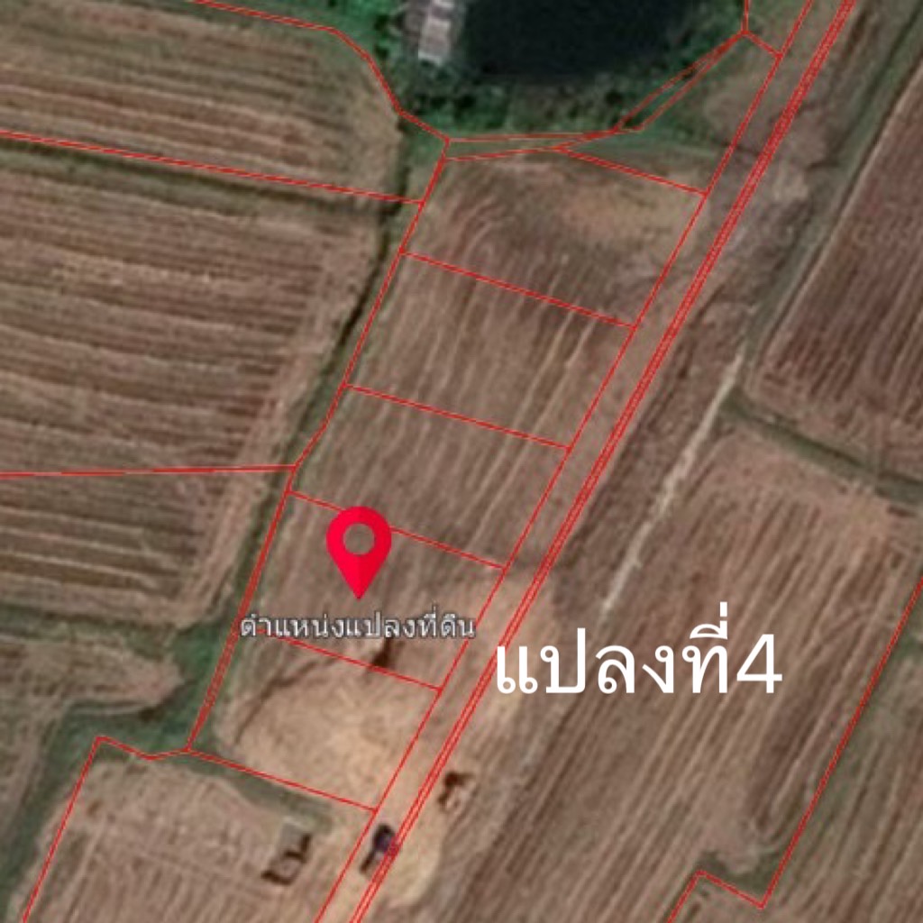 ขายที่ดินถมแล้ว ตารางวาละ5000 บาท  ติดถนนสาธารณะเกือบรอบด้าน จ.สุรินทร์