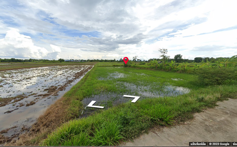 ขายที่ดินถมแล้ว ตารางวาละ5000 บาท  ติดถนนสาธารณะเกือบรอบด้าน จ.สุรินทร์