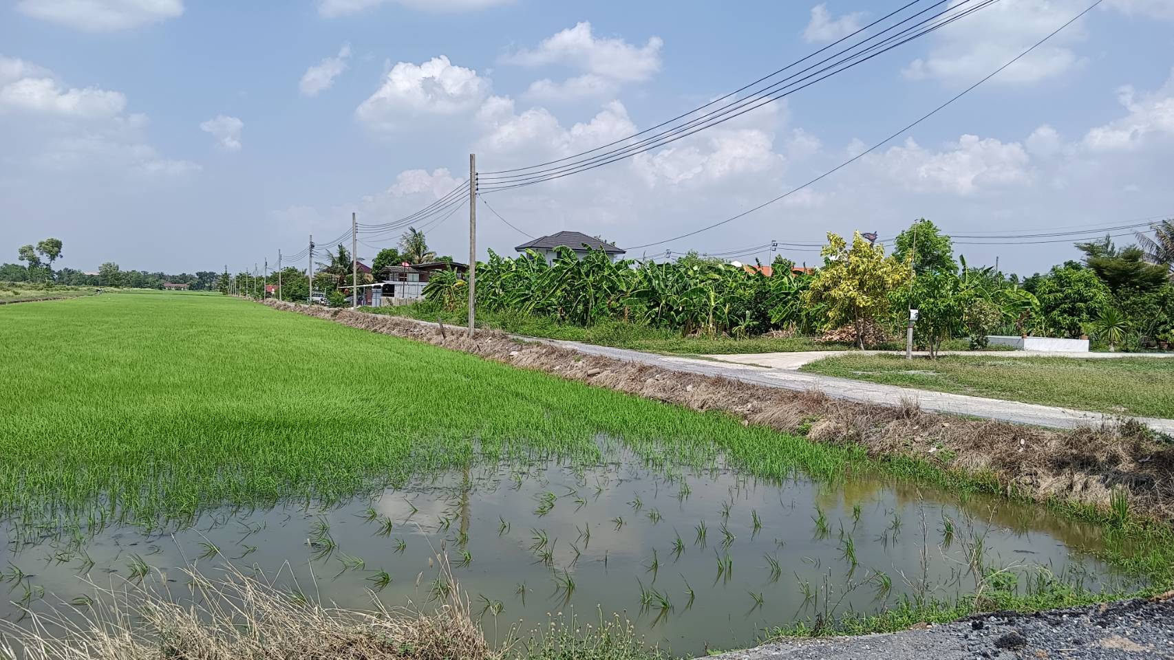 ขายที่ดิน 1ไร่ สุขาภิบาล5 ซอย32 ใกล้ทางด่วน สุขาภิบาล5-สายไหม