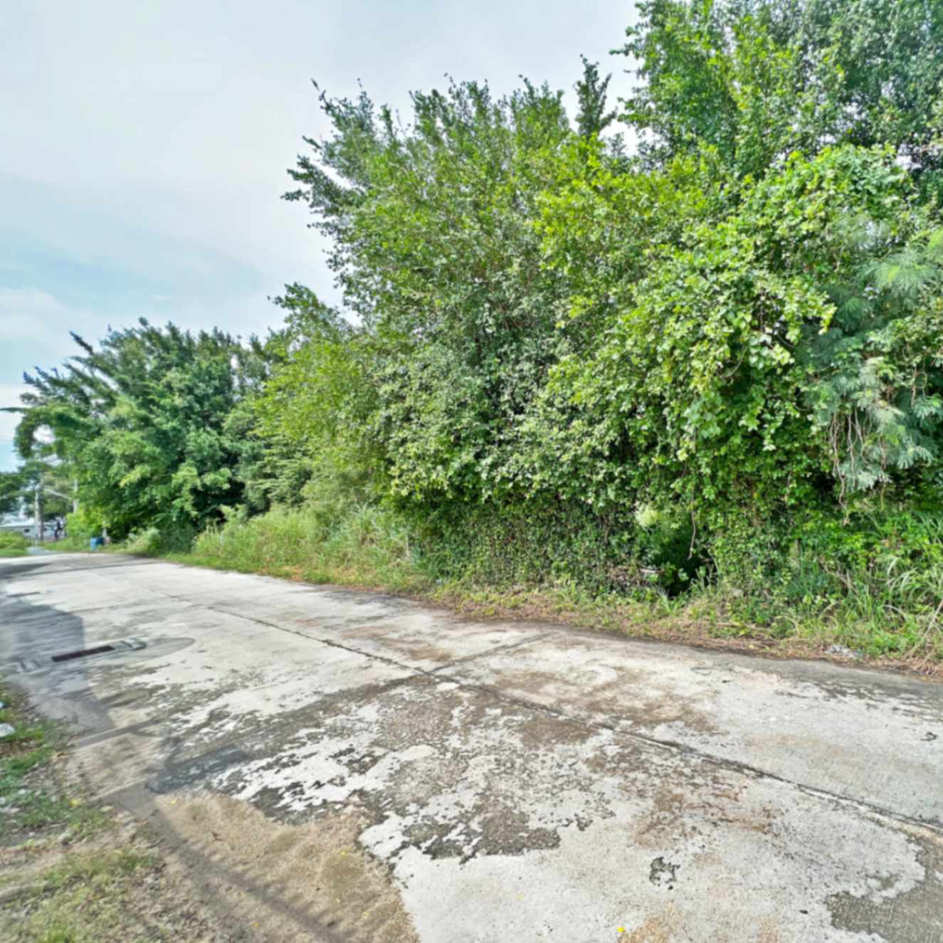 ขายที่ดินชลบุรี ขายที่ดินใกล้นิคมอมตะชลบุรี