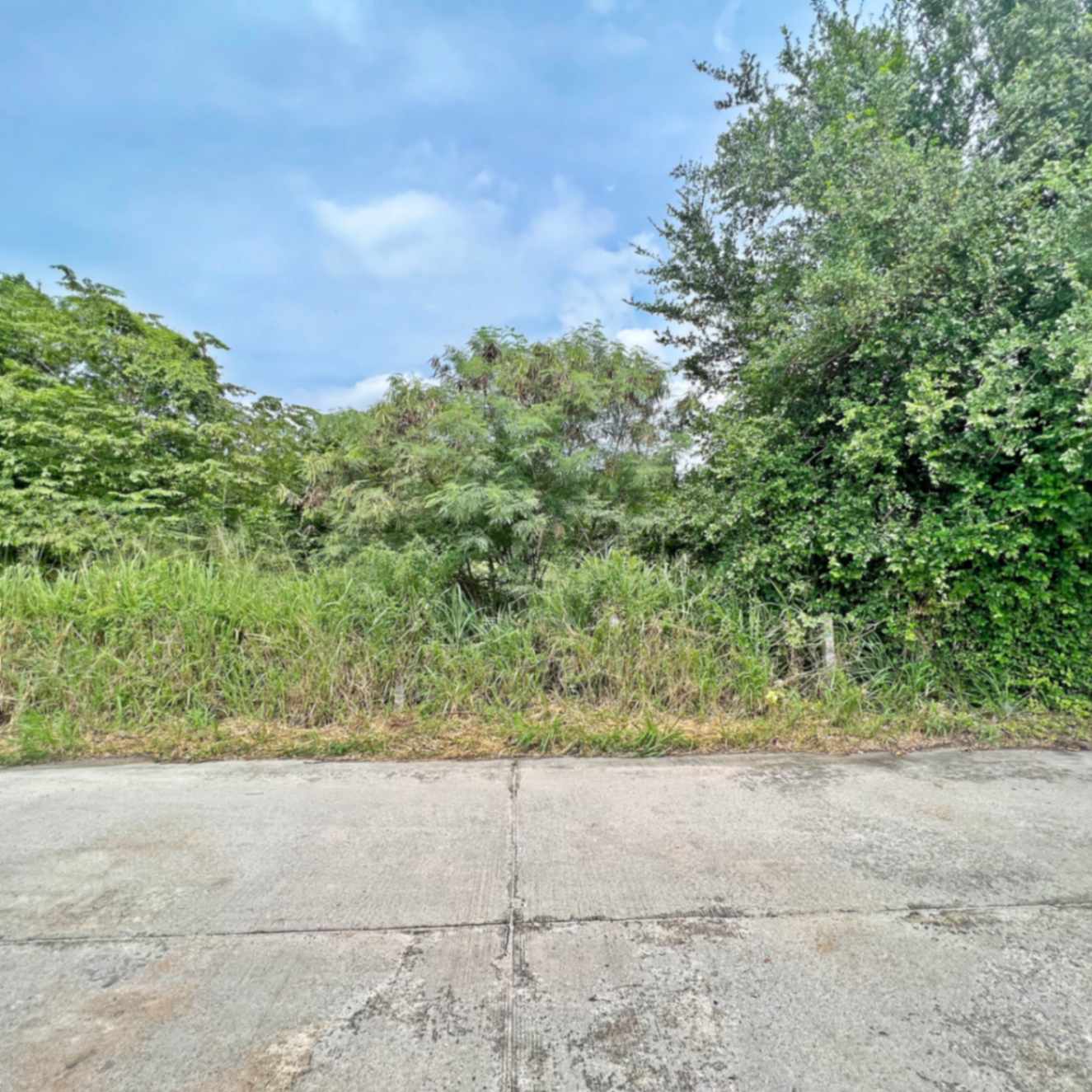 ขายที่ดินชลบุรี ขายที่ดินใกล้นิคมอมตะชลบุรี