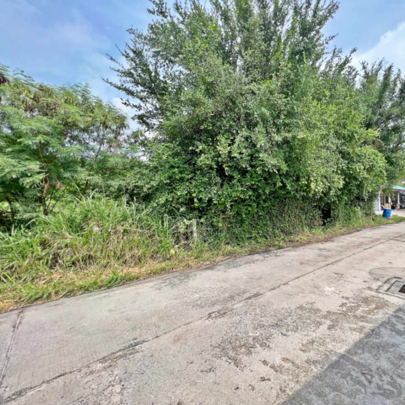 ขายที่ดินชลบุรี ขายที่ดินใกล้นิคมอมตะชลบุรี