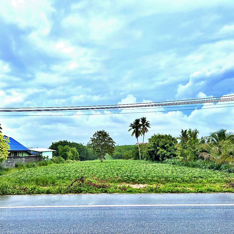 ขายที่ดินนิคมพัฒนา ขายที่ดินระยอง ขายที่ดินนิคมดับบลิวเฮชเอ36