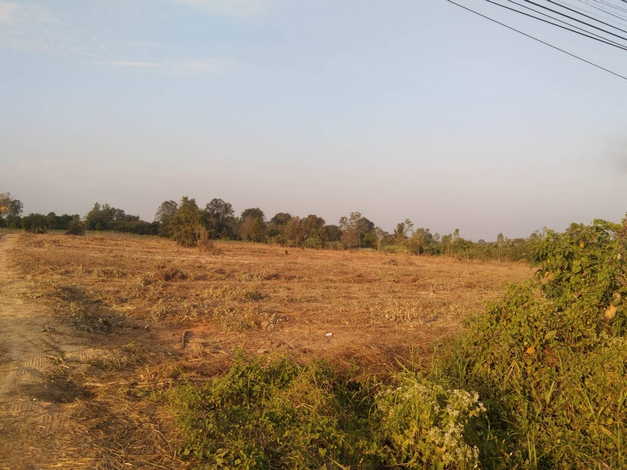 ขายที่ดินเปล่า 20 ไร่ ทำเลดี ที่ดินสวยมาก ติดคลองแม่ลาย อำเภอเมือง จังหวัดกำแพงเพชร (เจ้าของขายเอง)