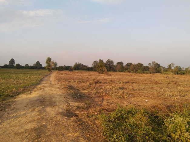 ขายที่ดินเปล่า 20 ไร่ ทำเลดี ที่ดินสวยมาก ติดคลองแม่ลาย อำเภอเมือง จังหวัดกำแพงเพชร (เจ้าของขายเอง)