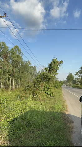 ขายที่ดินเปล่า 20 ไร่ ทำเลดี ที่ดินสวยมาก ติดคลองแม่ลาย อำเภอเมือง จังหวัดกำแพงเพชร (เจ้าของขายเอง)