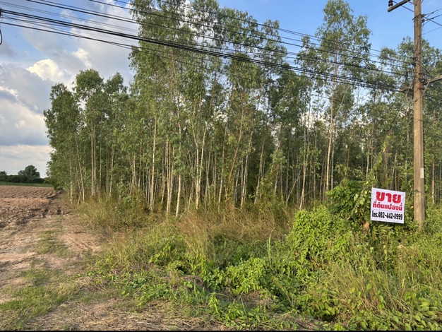 ขายที่ดินเปล่า 20 ไร่ ทำเลดี ที่ดินสวยมาก ติดคลองแม่ลาย อำเภอเมือง จังหวัดกำแพงเพชร (เจ้าของขายเอง)