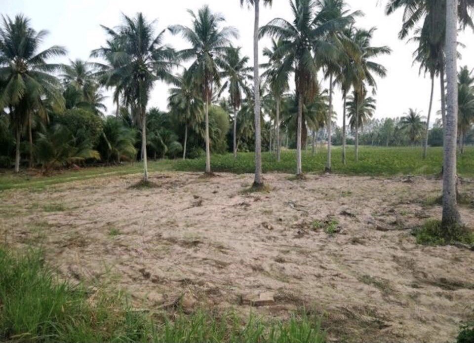 ขายที่ดินใกล้วัดญาณฯ พัทยา ชลบุรี