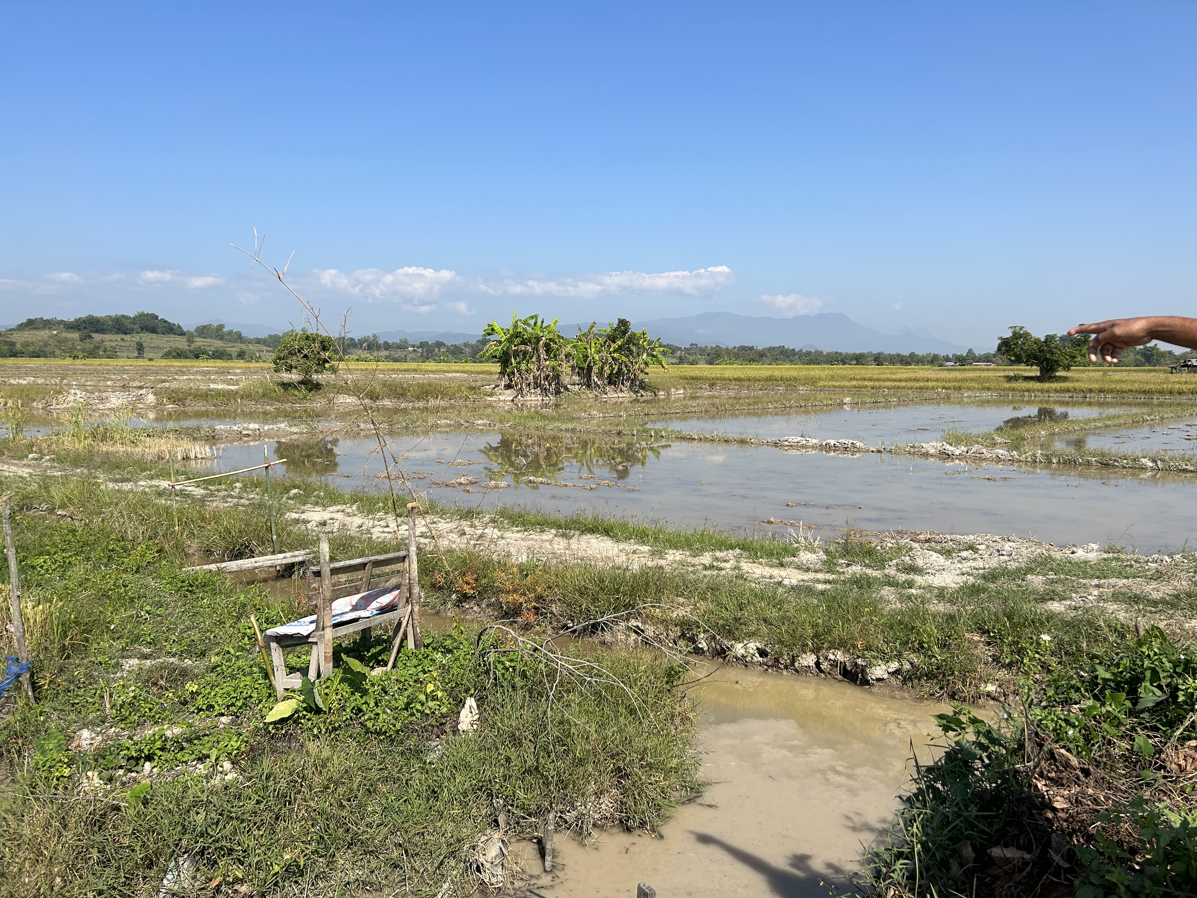 ที่ดินสวย อากาศดีตลอดปี  ปลูกต้นไม้ ทำไร่ ให้ผลผลิตคุ้มค่า อำเภอแม่จัน จังหวัดเชียงราย