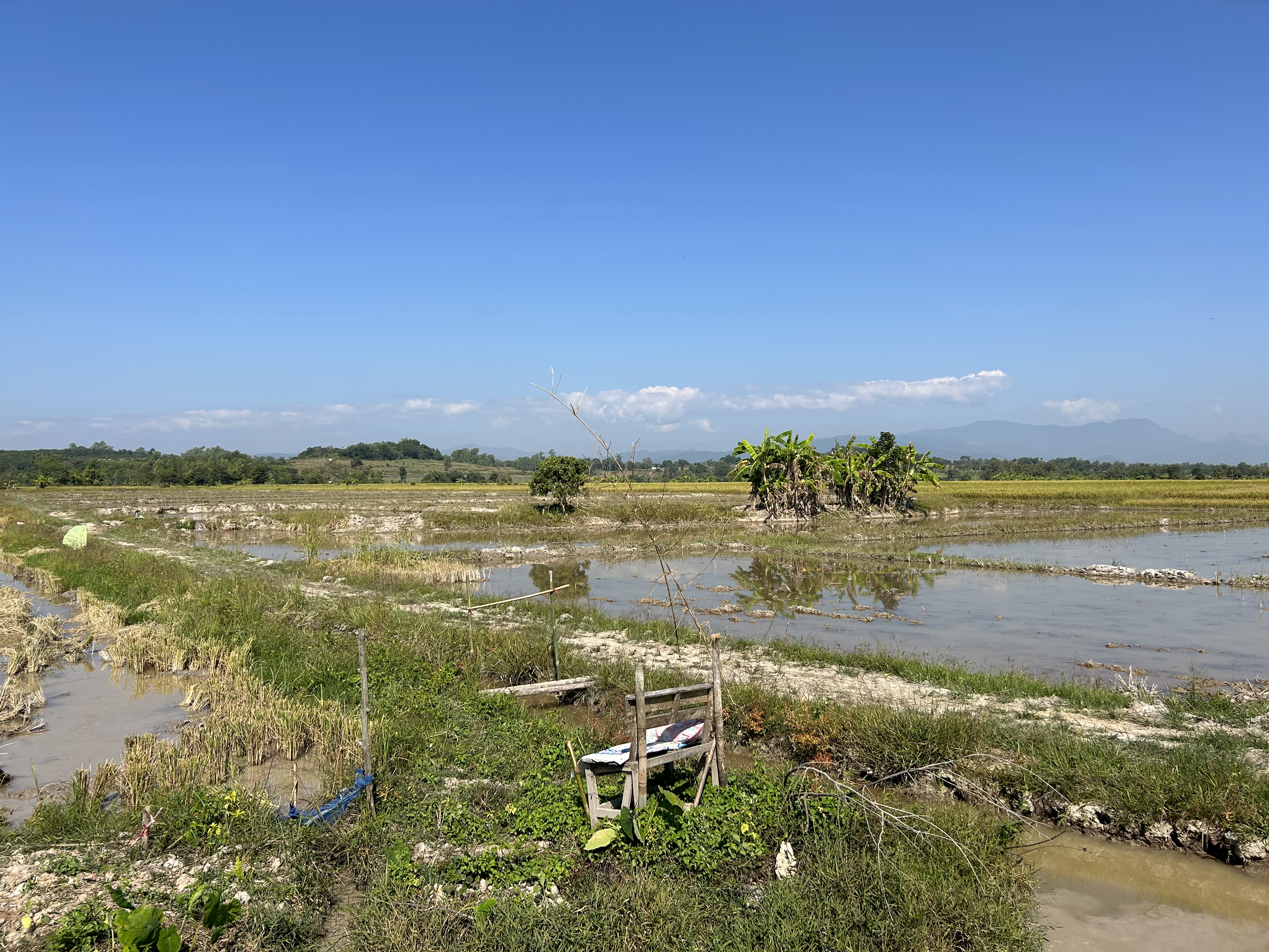 ที่ดินสวย อากาศดีตลอดปี  ปลูกต้นไม้ ทำไร่ ให้ผลผลิตคุ้มค่า อำเภอแม่จัน จังหวัดเชียงราย