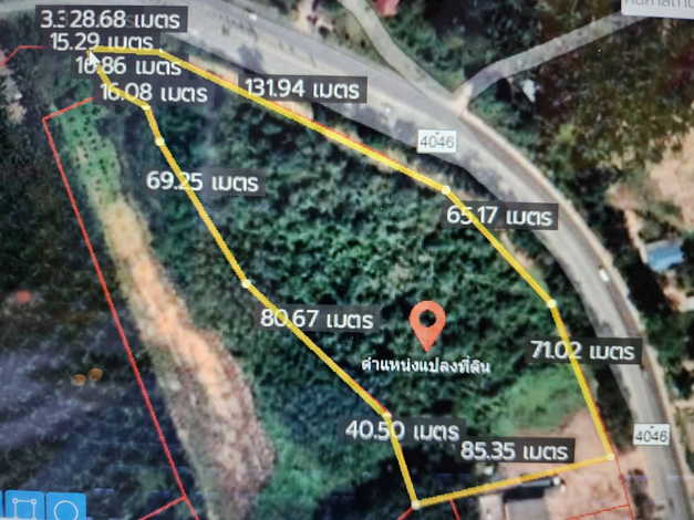 ขายที่ดินติดถนนใหญ่ ตำบลไม้ฝาด อำเภอสิเกา จังหวัดตรัง