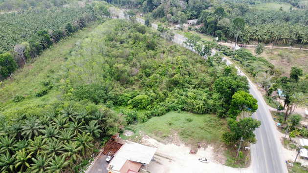 ขายที่ดินติดถนนใหญ่ ตำบลไม้ฝาด อำเภอสิเกา จังหวัดตรัง