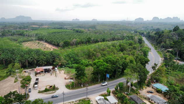 ขายที่ดินติดถนนใหญ่ ตำบลไม้ฝาด อำเภอสิเกา จังหวัดตรัง