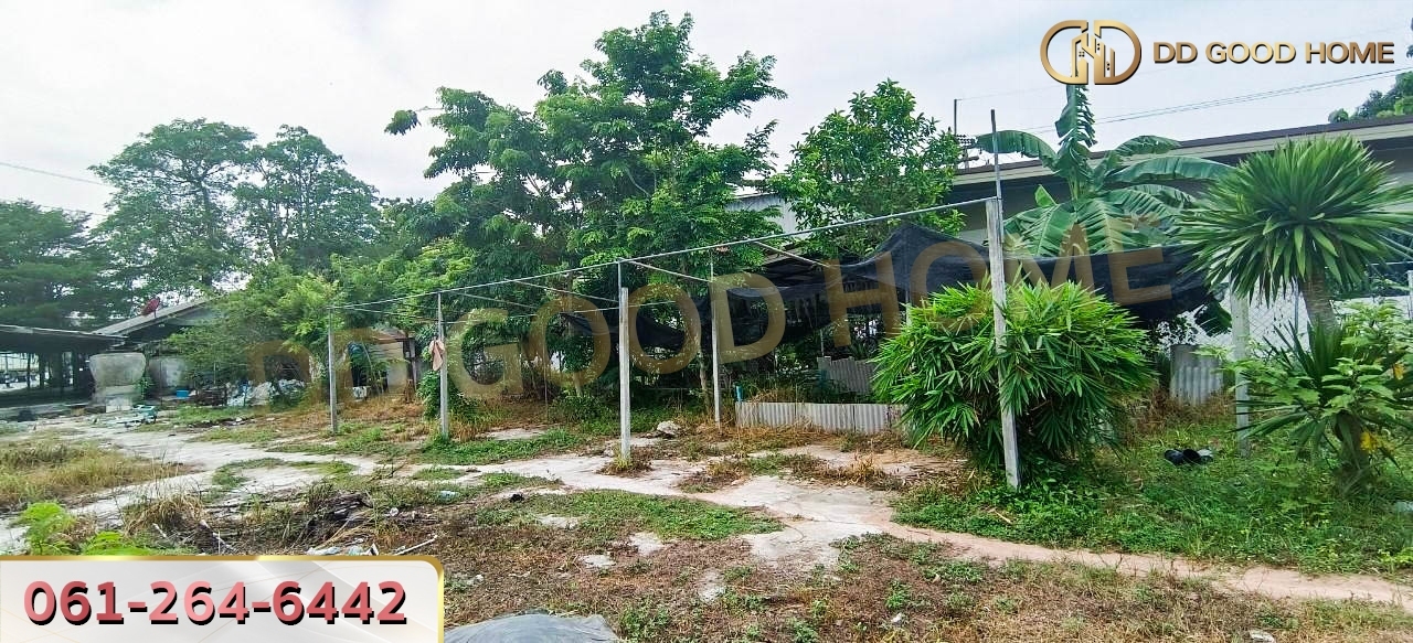 ที่ดินพร้อมสิ่งปลูกสร้าง ศรีราชา ชลบุรี ที่สวย ทำเลทอง 2 งาน 64 ตร.ว.