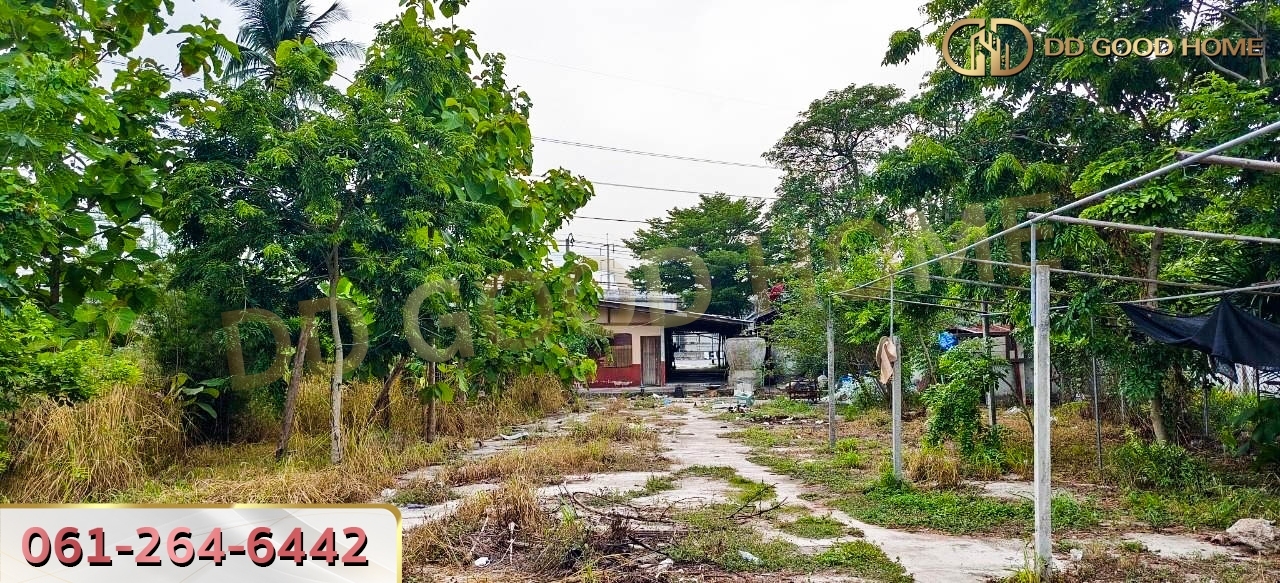 ที่ดินพร้อมสิ่งปลูกสร้าง ศรีราชา ชลบุรี ที่สวย ทำเลทอง 2 งาน 64 ตร.ว.