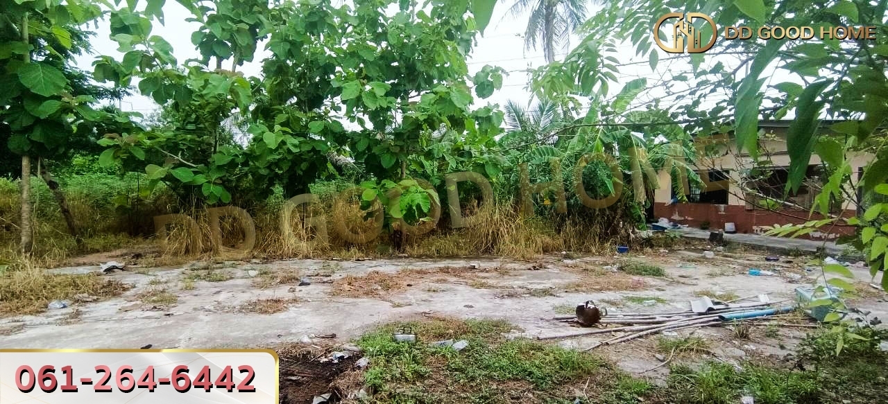 ที่ดินพร้อมสิ่งปลูกสร้าง ศรีราชา ชลบุรี ที่สวย ทำเลทอง 2 งาน 64 ตร.ว.