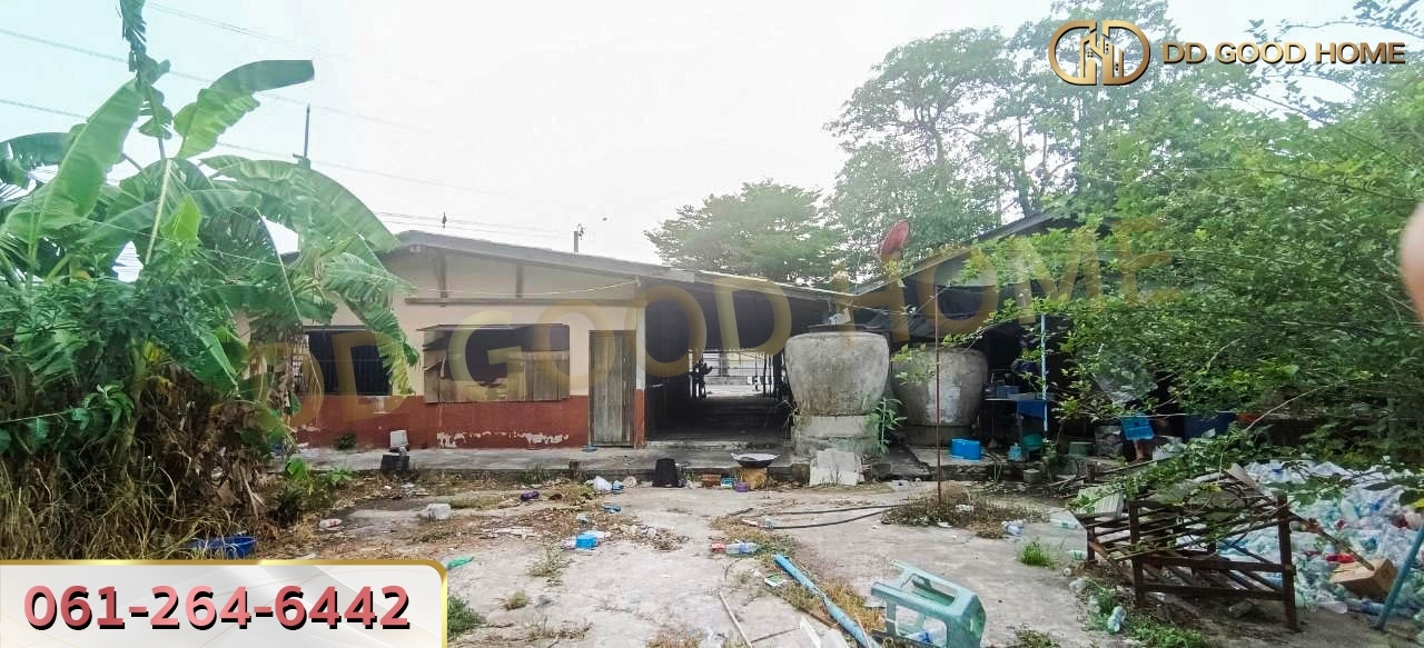 ที่ดินพร้อมสิ่งปลูกสร้าง ศรีราชา ชลบุรี ที่สวย ทำเลทอง 2 งาน 64 ตร.ว.