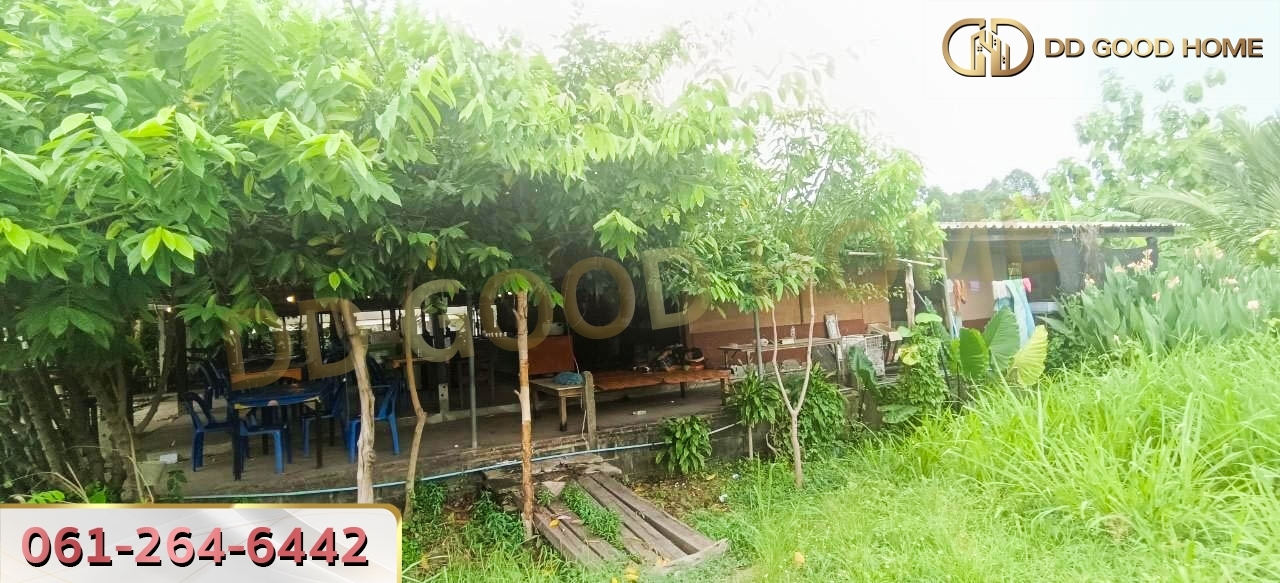 ที่ดินพร้อมสิ่งปลูกสร้าง ศรีราชา ชลบุรี ที่สวย ทำเลทอง 2 งาน 64 ตร.ว.