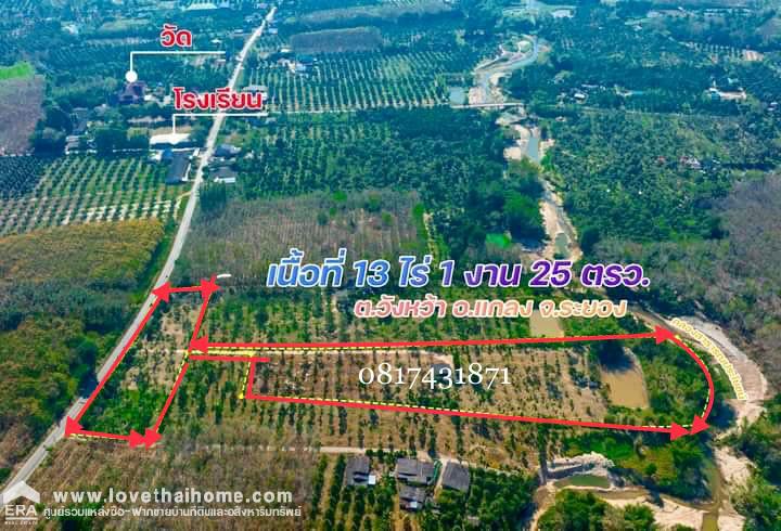 ขายที่ดินพร้อมสวนทุเรียน เมืองแกลง ระยอง พื้นที่ 13-1-25 ไร่ ติดถนนลาดยาง มีบ่อน้ำ มีผลผลิตแล้ว ทำท่องเที่ยวเชิงเกษตร บุฟเฟ่ต์ทุเรียน ทำเลดี ขายไม่แพง