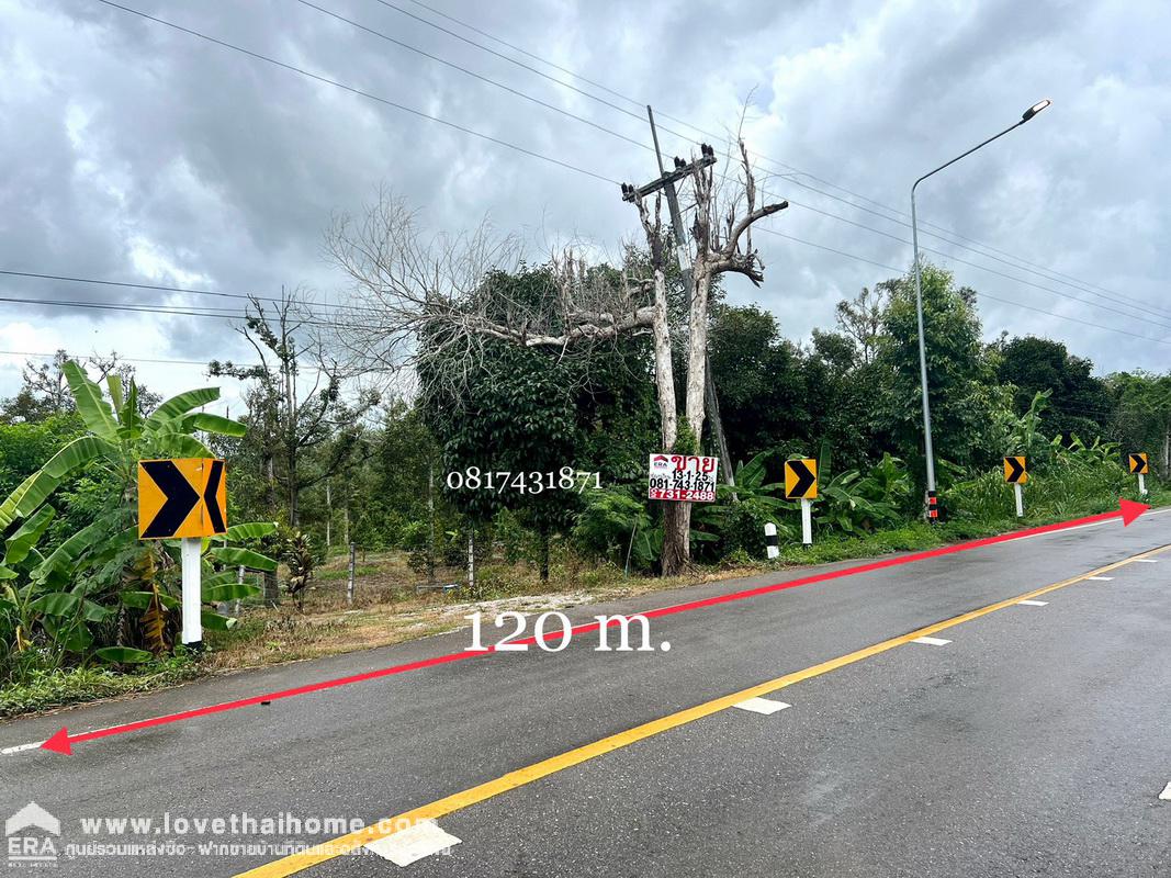 ขายที่ดินพร้อมสวนทุเรียน เมืองแกลง ระยอง พื้นที่ 13-1-25 ไร่ ติดถนนลาดยาง มีบ่อน้ำ มีผลผลิตแล้ว ทำท่องเที่ยวเชิงเกษตร บุฟเฟ่ต์ทุเรียน ทำเลดี ขายไม่แพง