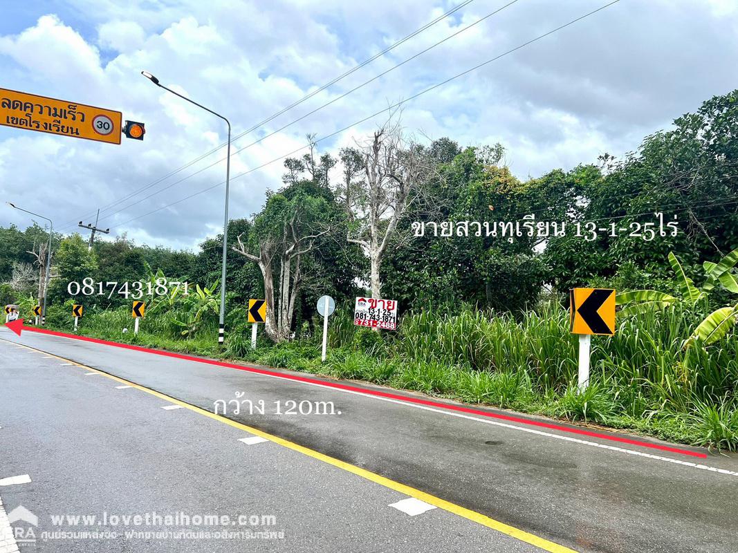 ขายที่ดินพร้อมสวนทุเรียน เมืองแกลง ระยอง พื้นที่ 13-1-25 ไร่ ติดถนนลาดยาง มีบ่อน้ำ มีผลผลิตแล้ว ทำท่องเที่ยวเชิงเกษตร บุฟเฟ่ต์ทุเรียน ทำเลดี ขายไม่แพง