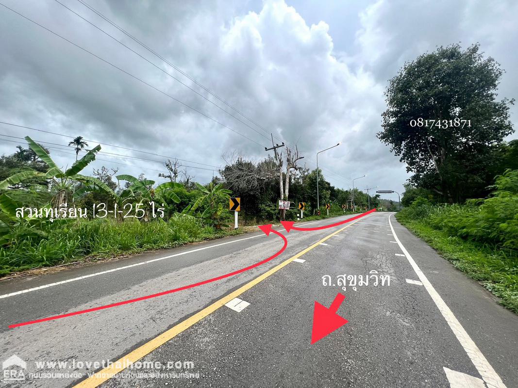 ขายที่ดินพร้อมสวนทุเรียน เมืองแกลง ระยอง พื้นที่ 13-1-25 ไร่ ติดถนนลาดยาง มีบ่อน้ำ มีผลผลิตแล้ว ทำท่องเที่ยวเชิงเกษตร บุฟเฟ่ต์ทุเรียน ทำเลดี ขายไม่แพง