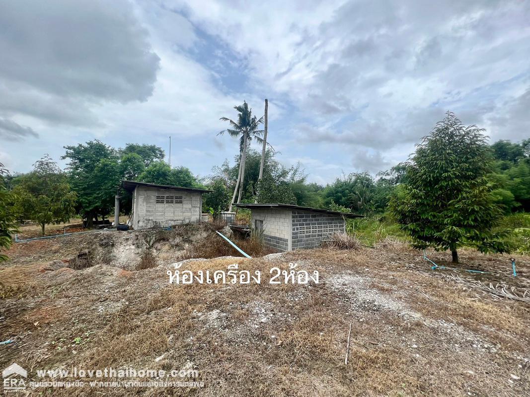 ขายที่ดินพร้อมสวนทุเรียน เมืองแกลง ระยอง พื้นที่ 13-1-25 ไร่ ติดถนนลาดยาง มีบ่อน้ำ มีผลผลิตแล้ว ทำท่องเที่ยวเชิงเกษตร บุฟเฟ่ต์ทุเรียน ทำเลดี ขายไม่แพง