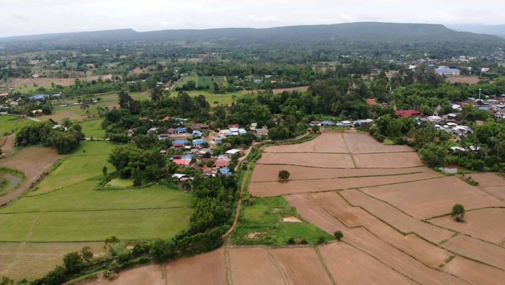 #ขายที่ดินติดคลองส่งน้ำ | 167 ตร.ว (ยกแปลง200,000 บาท) ต.สะแกราช อ.ปักธงชัย จ.นครราชสีมา. ( ใกล้วัดห้วยสะแกราช ) ** ตัดใจขาย