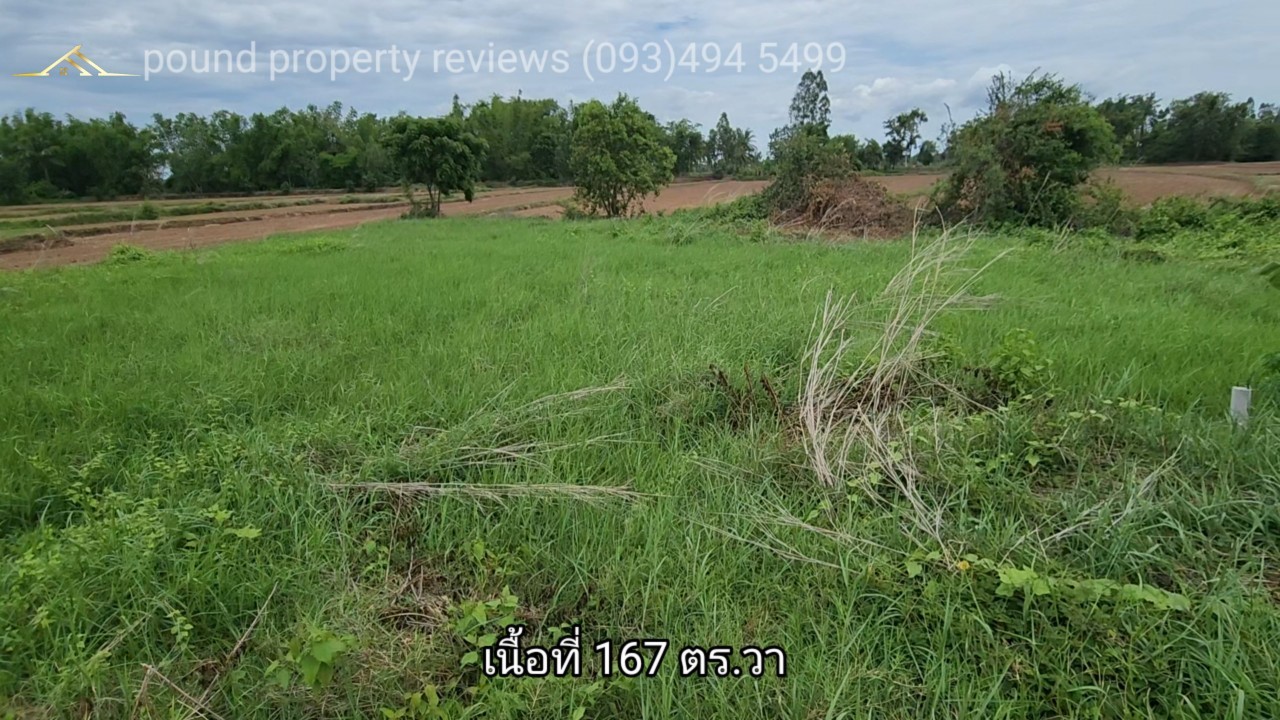 #ขายที่ดินติดคลองส่งน้ำ | 167 ตร.ว (ยกแปลง200,000 บาท) ต.สะแกราช อ.ปักธงชัย จ.นครราชสีมา. ( ใกล้วัดห้วยสะแกราช ) ** ตัดใจขาย