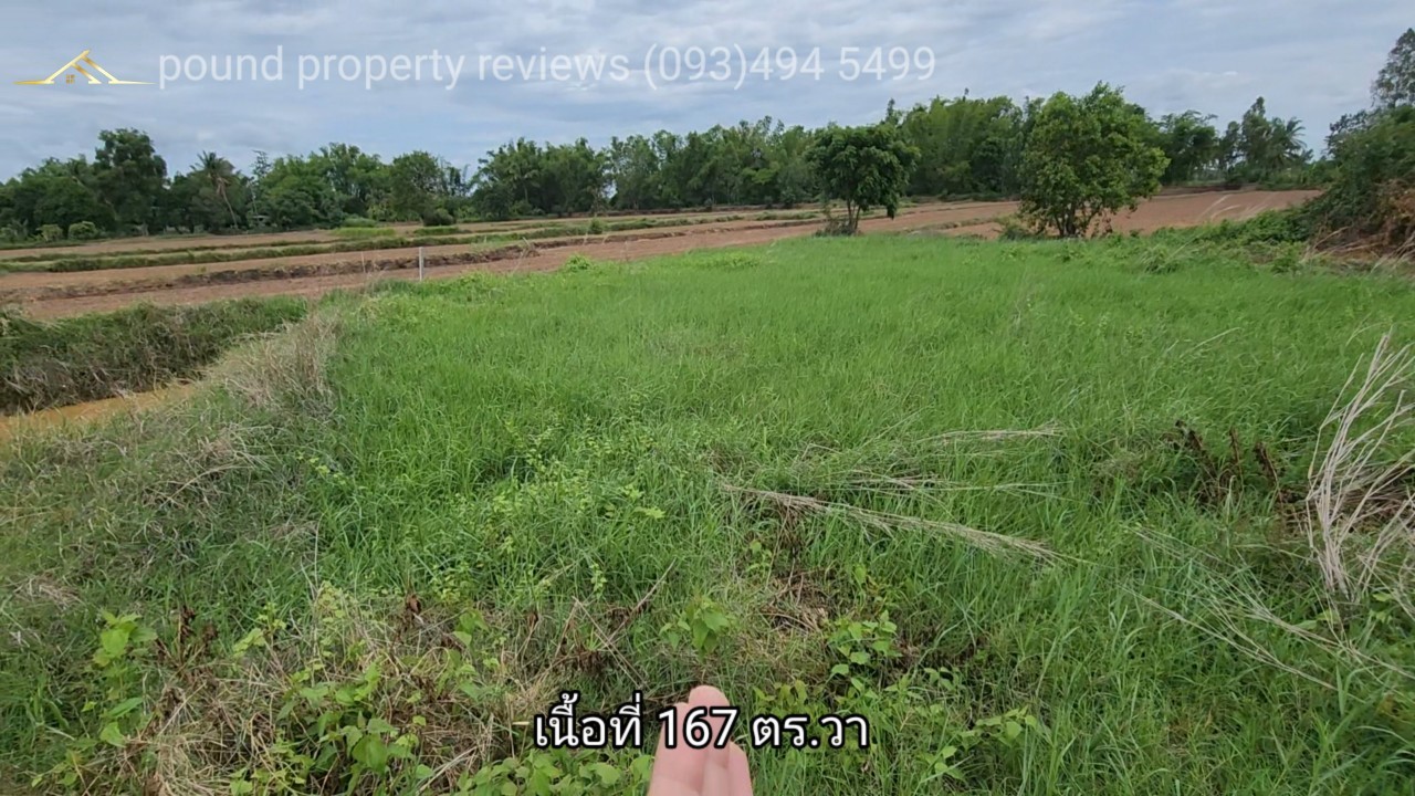 #ขายที่ดินติดคลองส่งน้ำ | 167 ตร.ว (ยกแปลง200,000 บาท) ต.สะแกราช อ.ปักธงชัย จ.นครราชสีมา. ( ใกล้วัดห้วยสะแกราช ) ** ตัดใจขาย