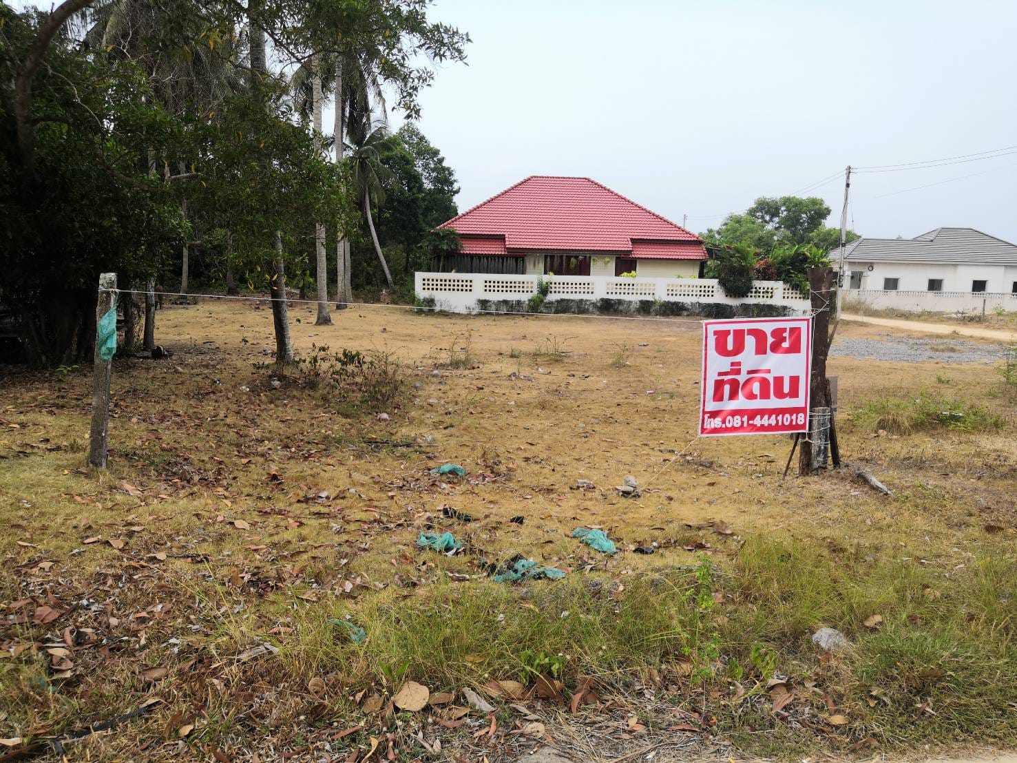 ขายที่ดิน นราธิวาส ติดถนนใหญ่ สายโคกเคียน ทางไปสนามบินบ้านทอน ทำเลดี ถมแล้วสวยมาก