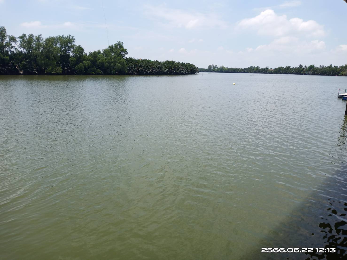 ขายที่ดินติดแม่น้ำบางปะกง 9 ไร่เศษ (ถมแล้วบางส่วน) ต.ท่าพลับ อ.บ้านโพธิ์ จ.ฉะเชิงเทรา